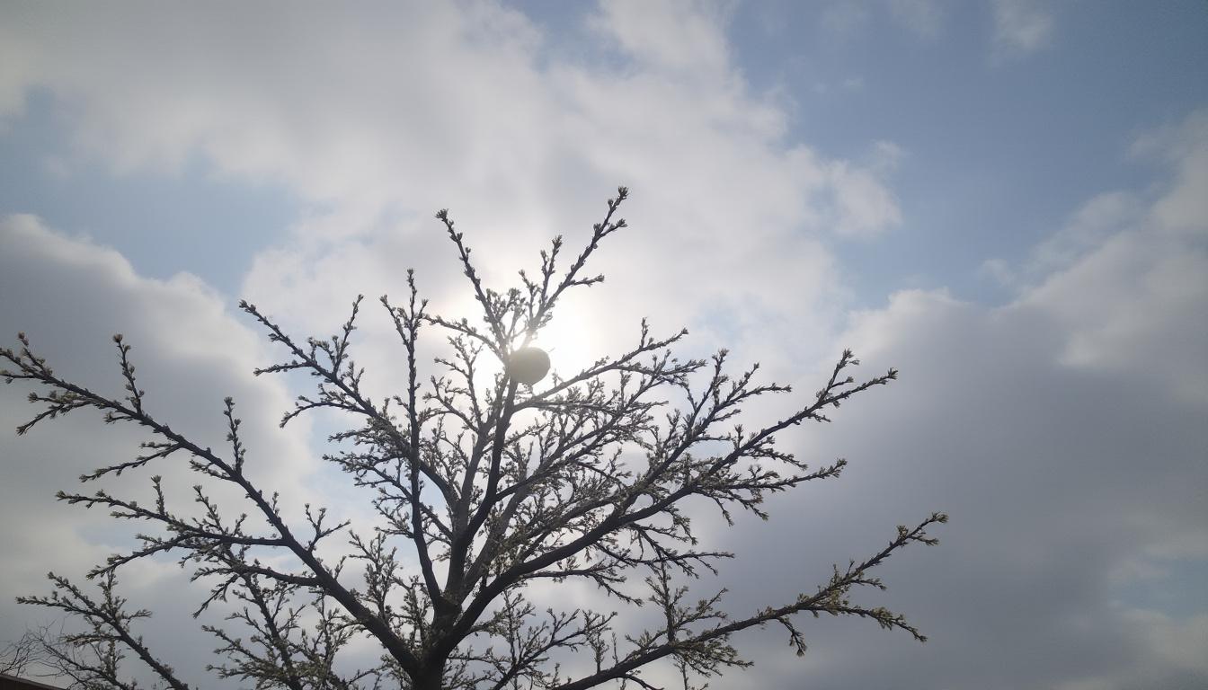 Carpe koĂŻ prix : comment choisir votre poisson dâornement sans vous tromper 2 dĂ©couvrez comment choisir votre carpe koĂŻ idĂ©ale en fonction de son prix. conseils pratiques pour sĂ©lectionner un poisson dâornement de qualitĂ© sans vous tromper.