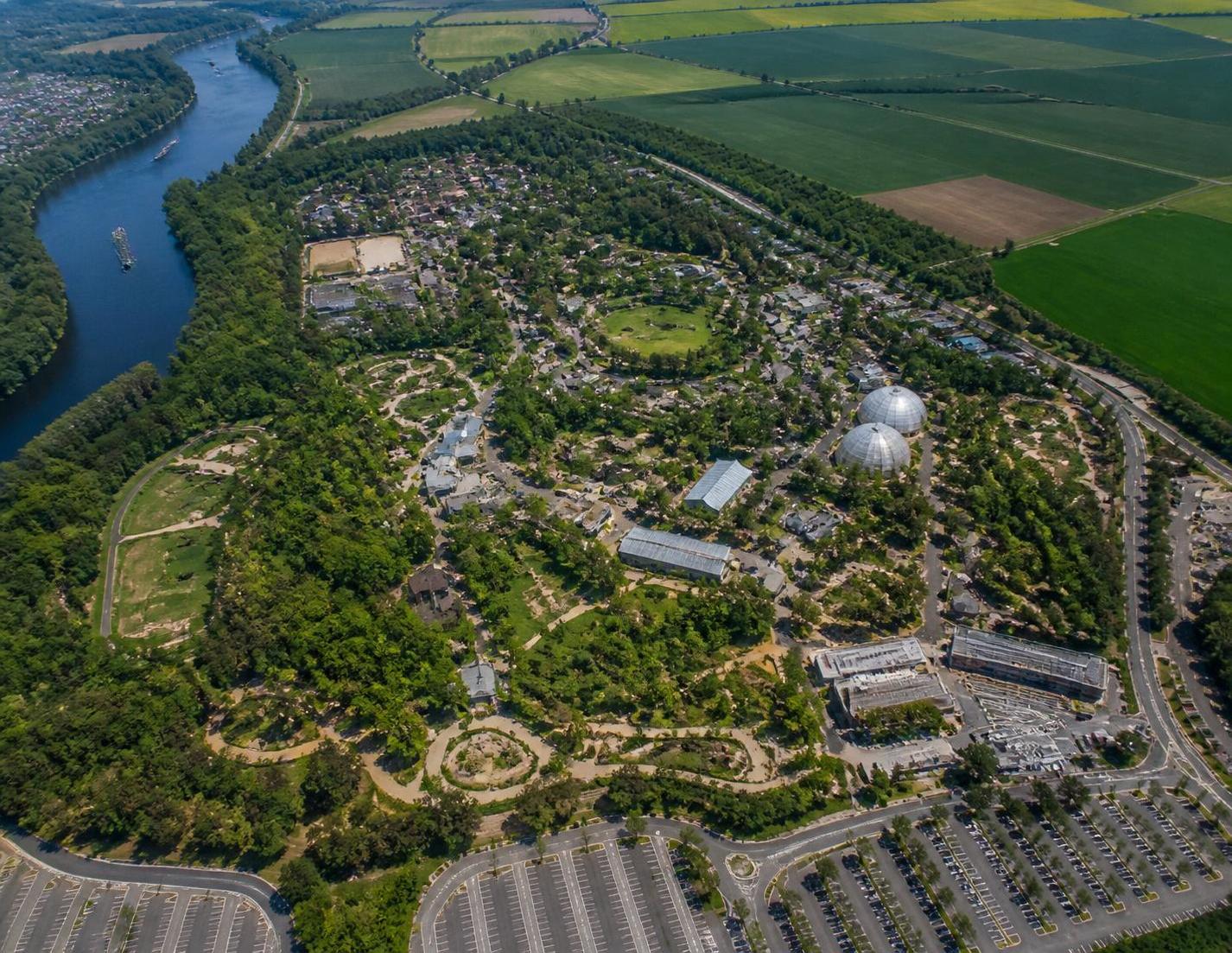 découvrez toutes les informations pour visiter le zoo de beauval : adresse, options d'accès et conseils pratiques pour s'y rendre facilement en voiture, transport en commun ou autres moyens.
