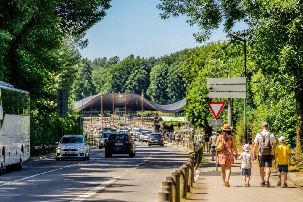 découvrez l'adresse du zoo de beauval, les différents moyens d'accès et nos conseils pratiques pour s'y rendre facilement en voiture, en train ou en transport en commun.