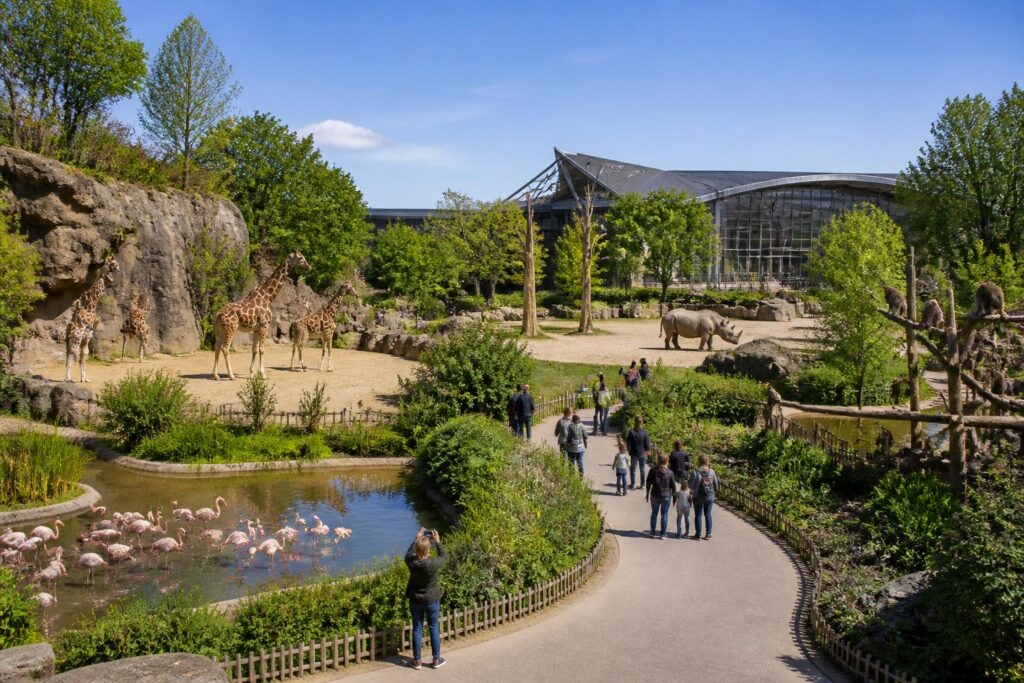 découvrez le zoo de vincennes, le parc zoologique de paris : tarifs, horaires d'ouverture et une visite fascinante au cœur de la faune mondiale.