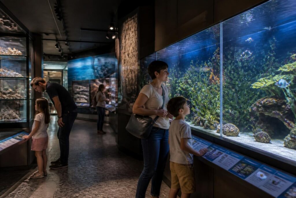 découvrez les avis authentiques des visiteurs du muséum-aquarium de nancy et plongez dans leurs expériences uniques pour préparer votre visite en toute confiance.