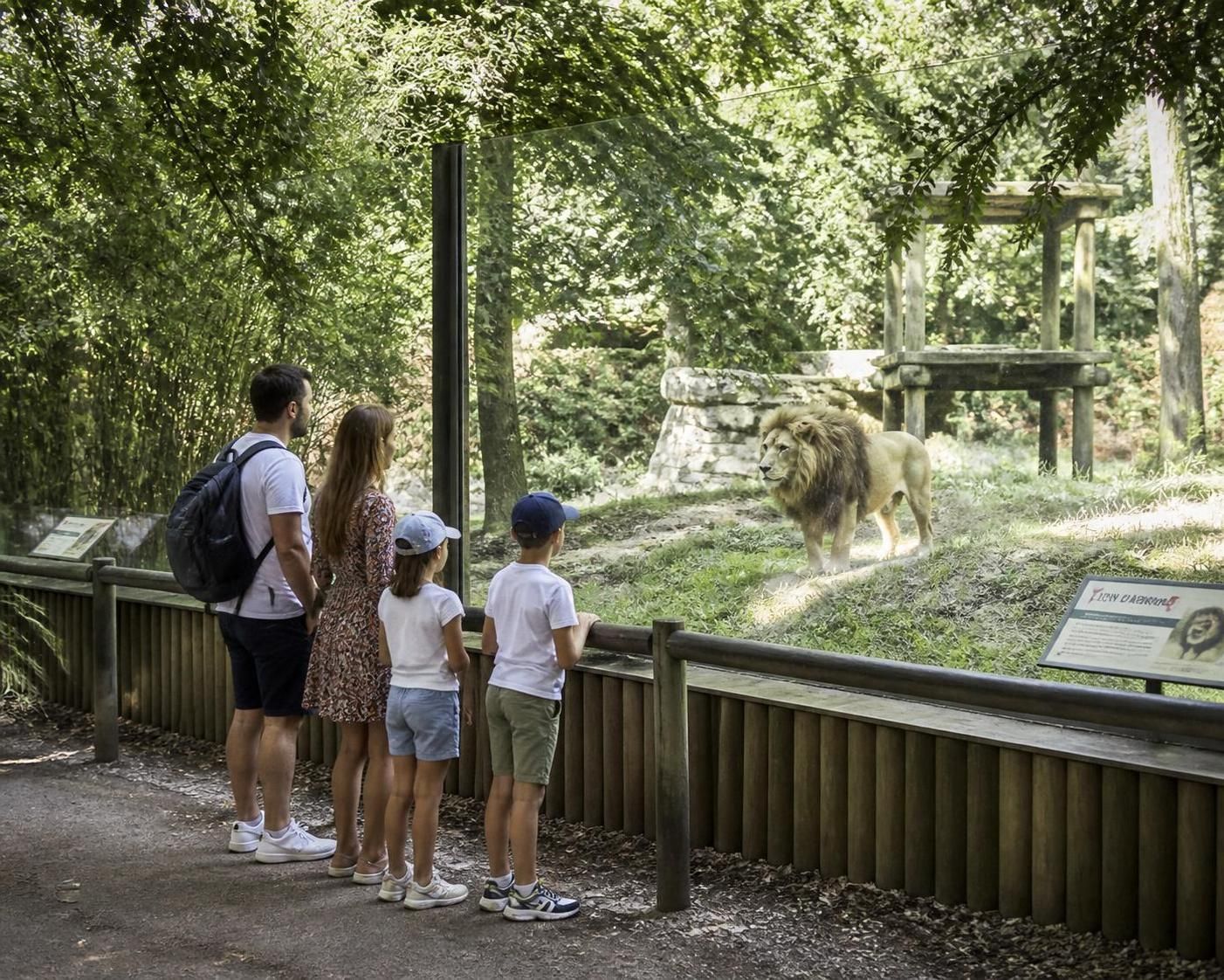 Zoo de la FlÚche : guide complet pour préparer votre visite 2 découvrez le zoo de la flÚche avec notre guide complet pour préparer votre visite : horaires, tarifs, attractions et conseils pratiques pour une journée réussie en famille.