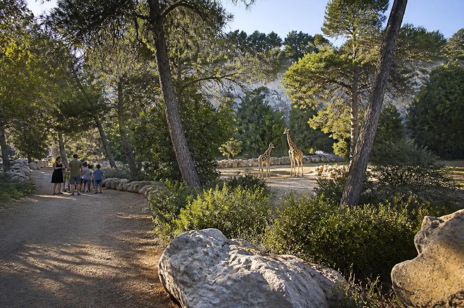 Zoo de la Barben : tout ce qu'il faut savoir avant de visiter en Provence 2 découvrez toutes les informations essentielles pour préparer votre visite au zoo de la barben en provence : horaires, tarifs, animaux, activités et conseils pratiques.
