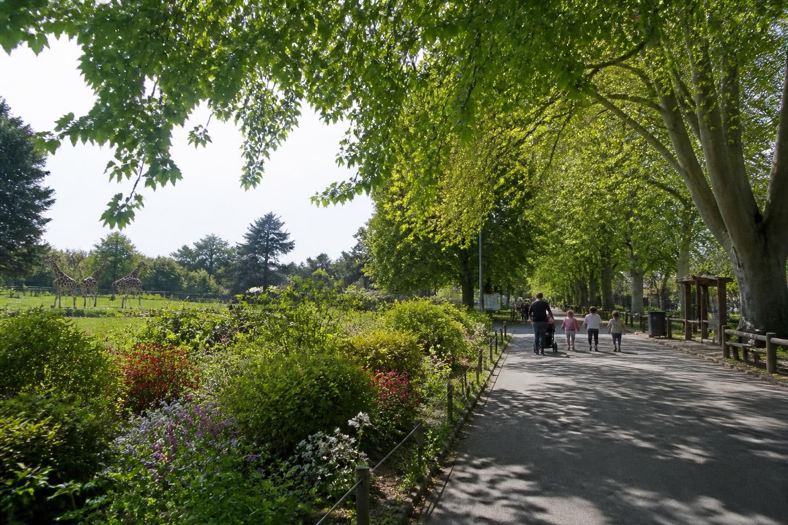 découvrez le zoo de mulhouse : tarifs 2026, les animaux incontournables à observer et nos conseils pratiques pour une visite réussie en famille ou entre amis.